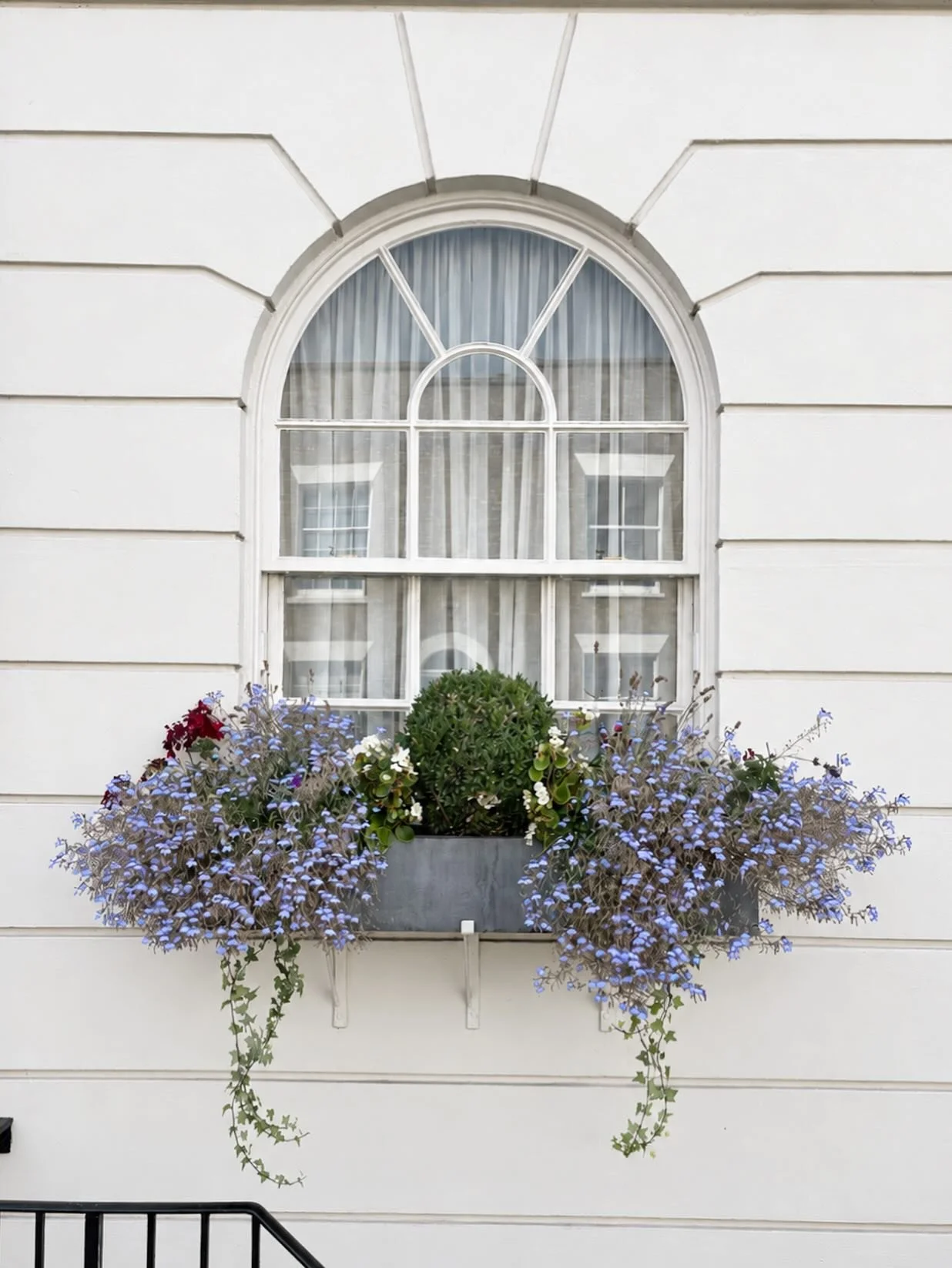 Window box dreams