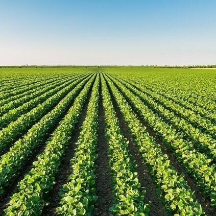 Canada's Agriculture Day - Ag More Than Ever