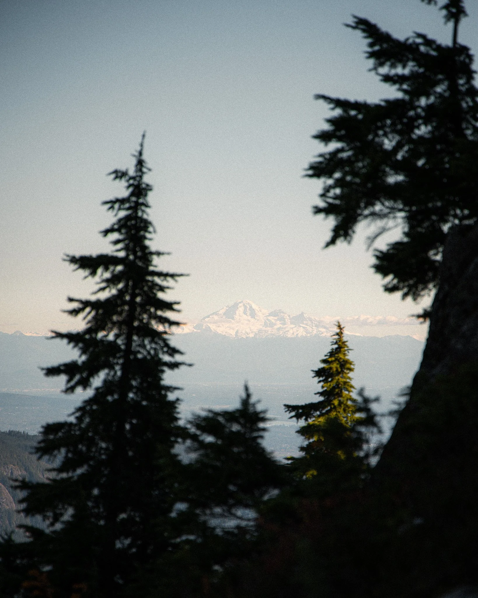 _MG_4215-2.jpg
