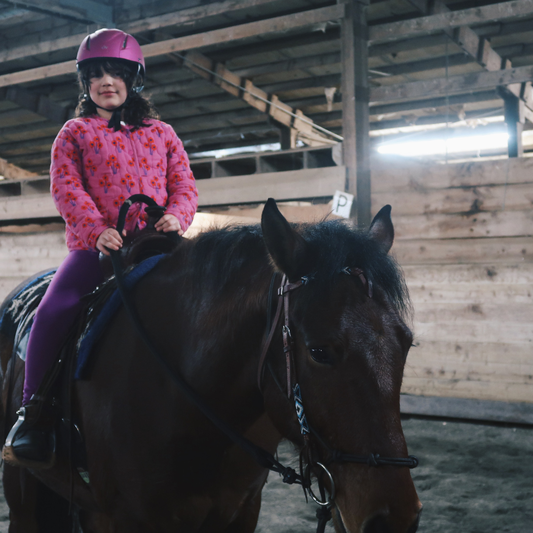 Private Lesson — Sauvie Island Stables