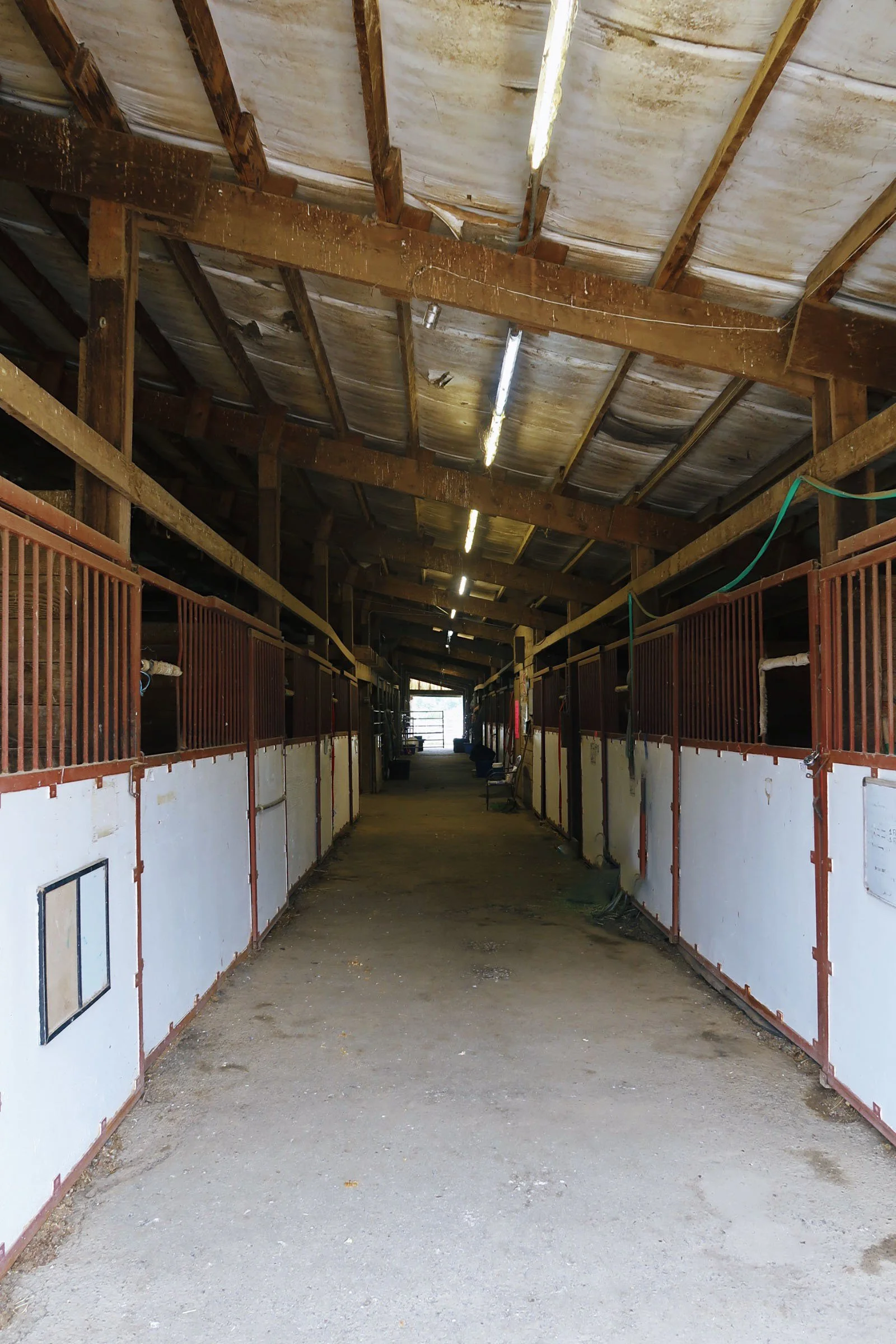 Sauvie Island Stables
