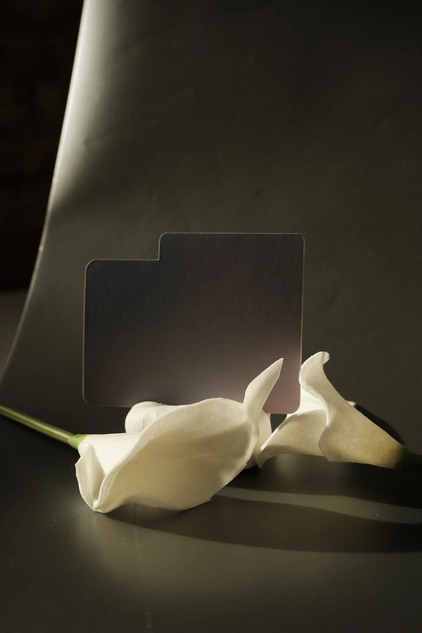 Gradient Folder-Shaped Sticky Notes | Single Packs