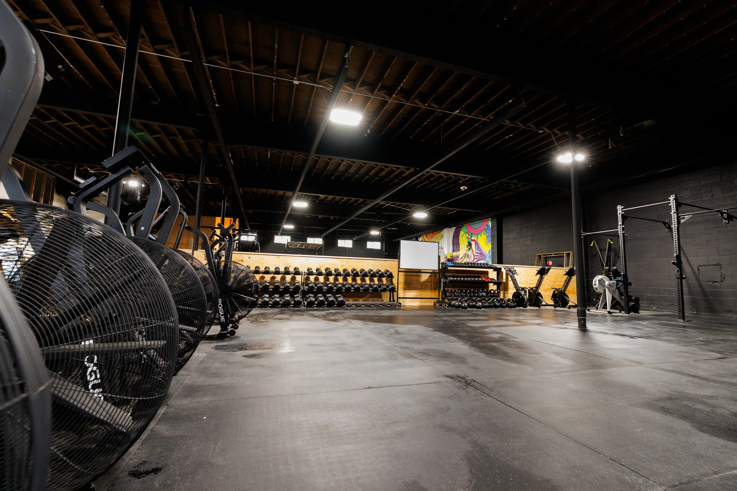 Muok 2026 new loc enzo206-2 (1).jpg