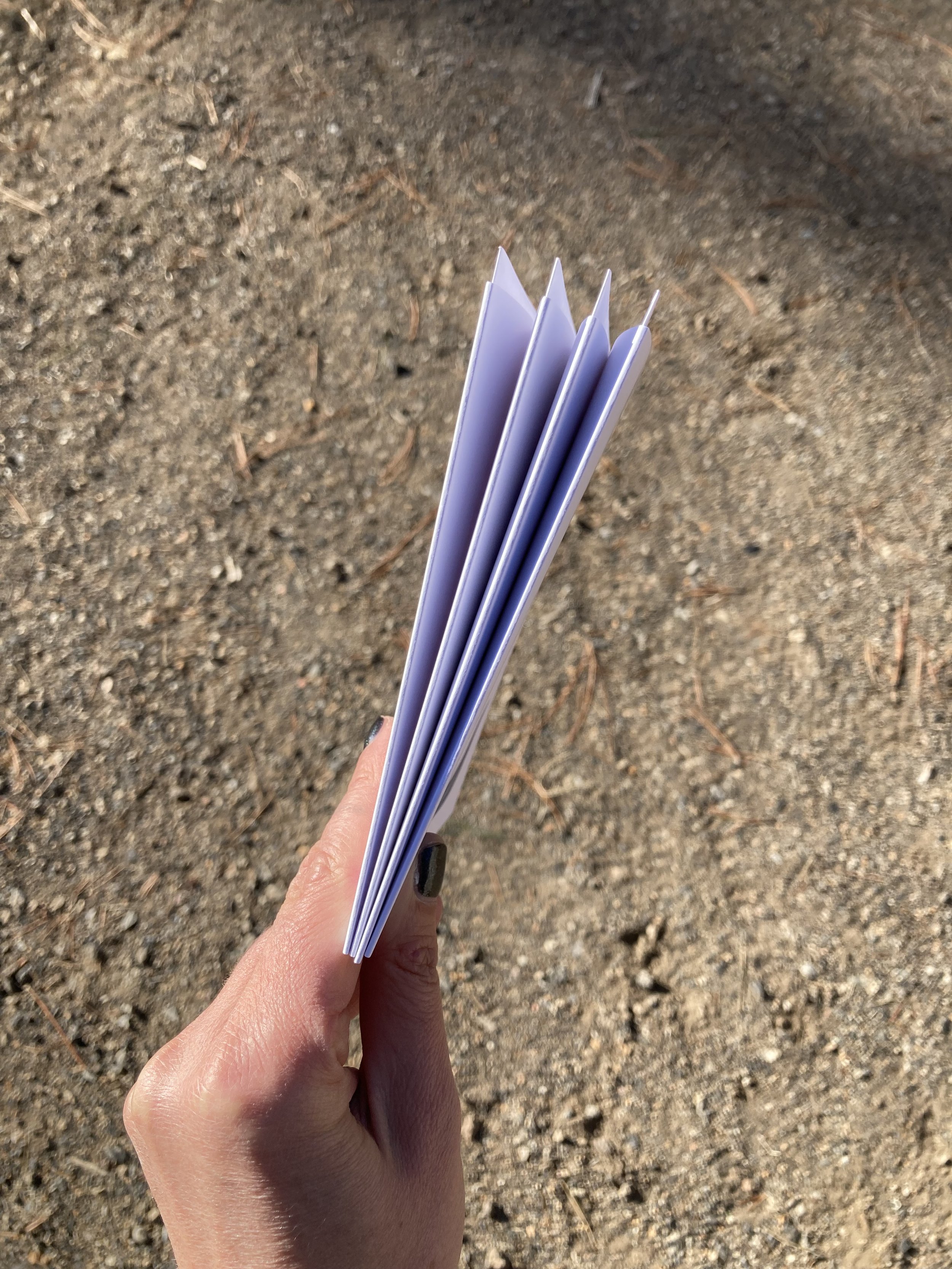 IMG_0816.jpeg