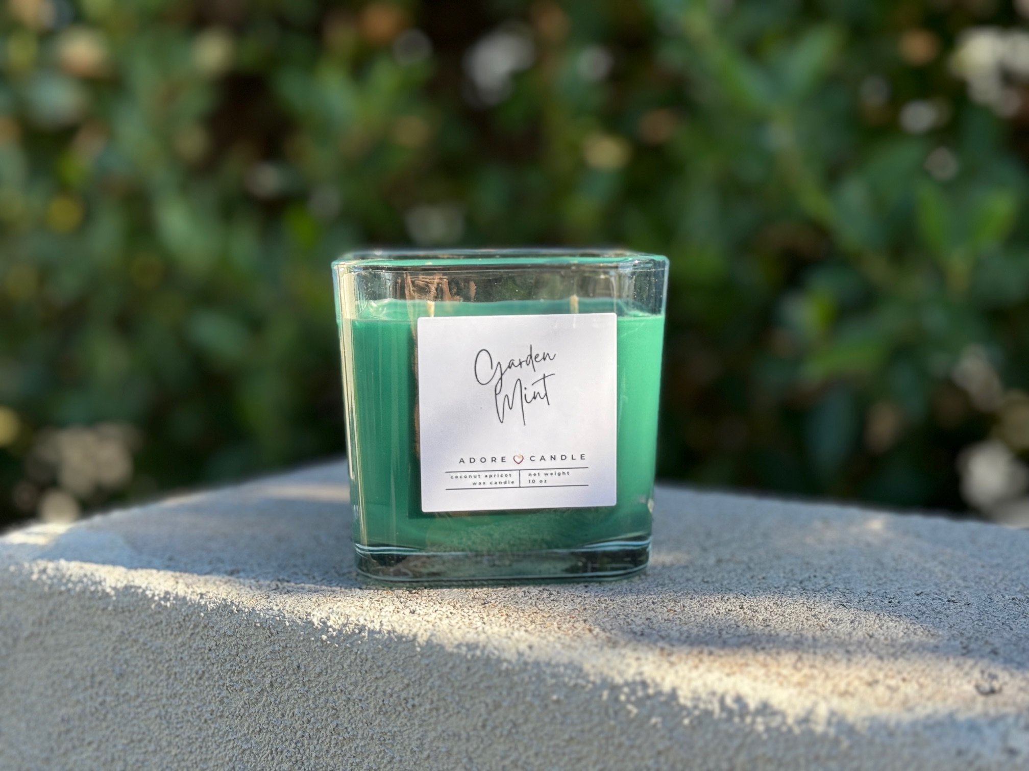 Garden Mint