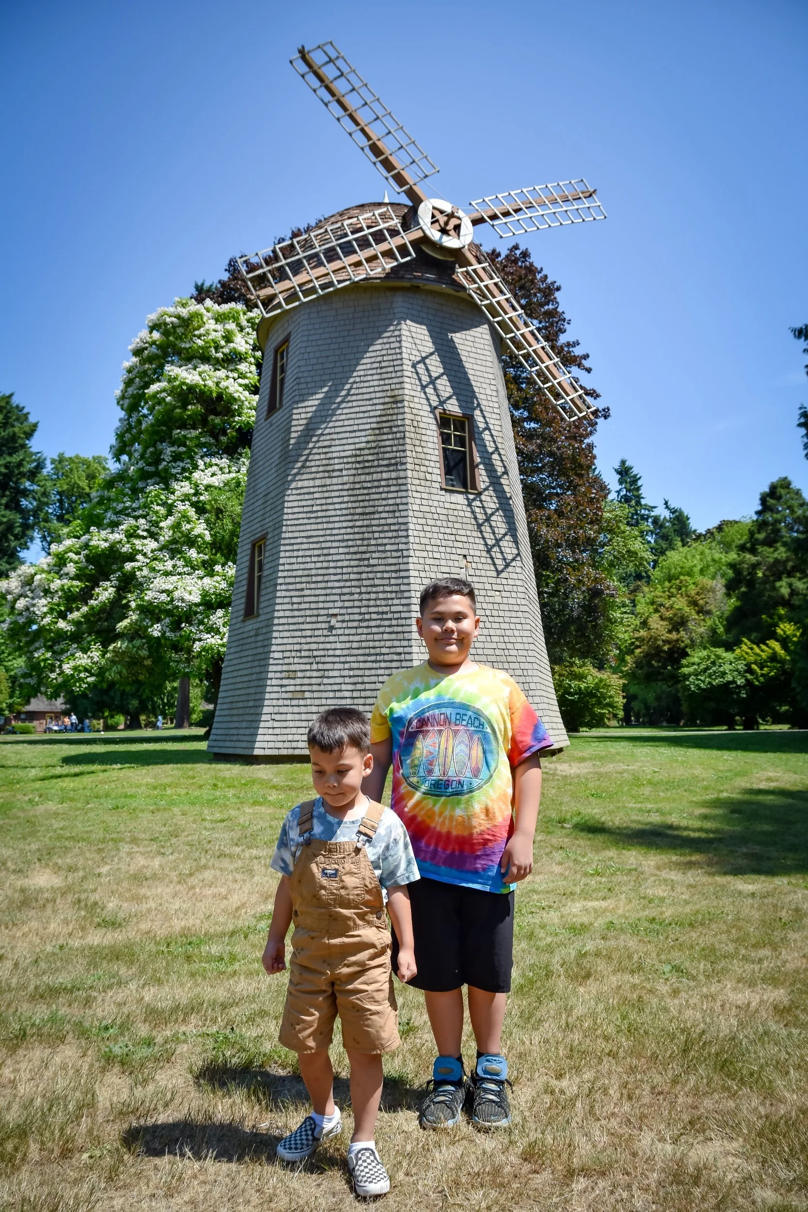 processed_DSC_0608.jpg