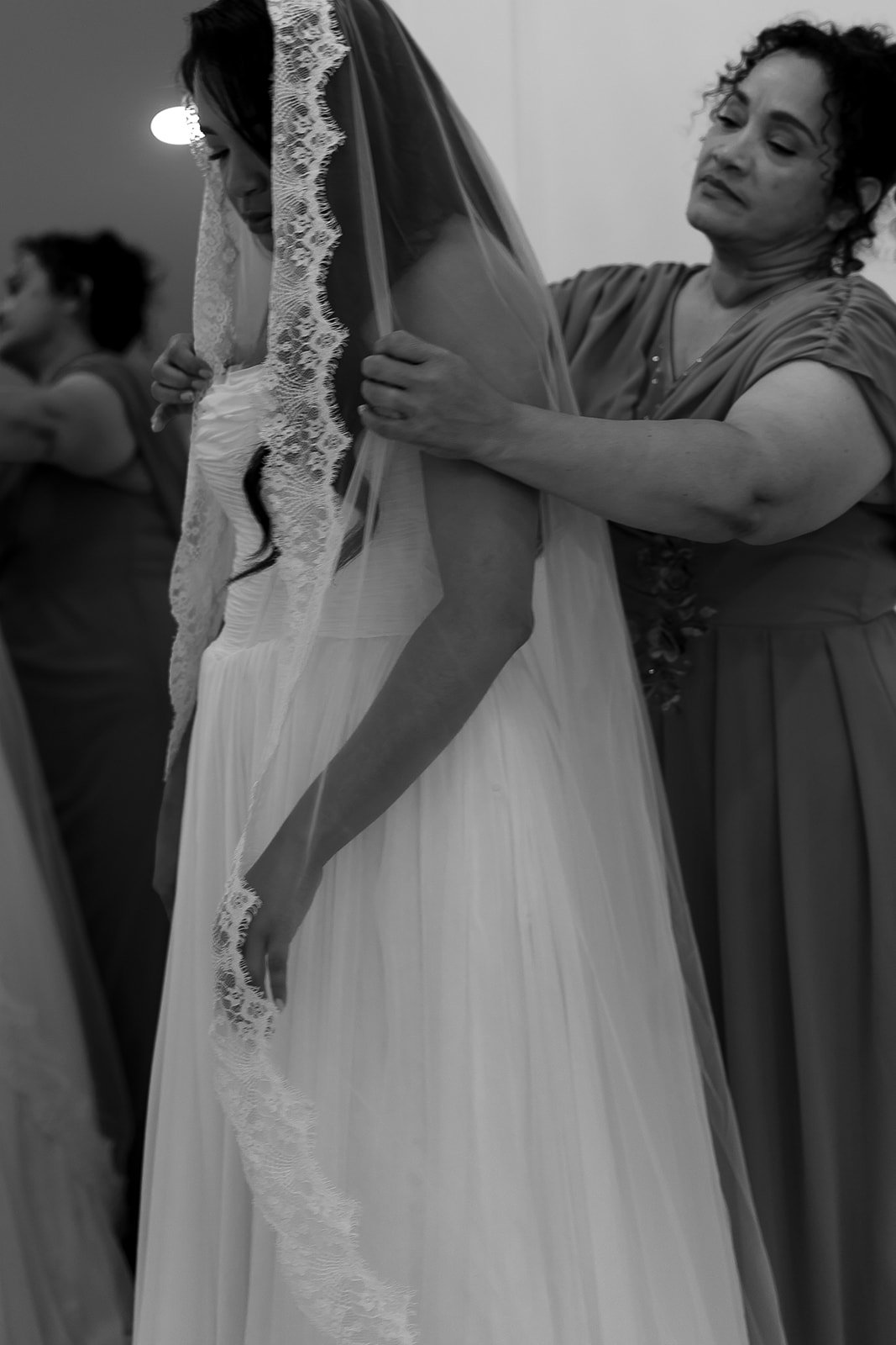 TBPhoto2026-28.jpg