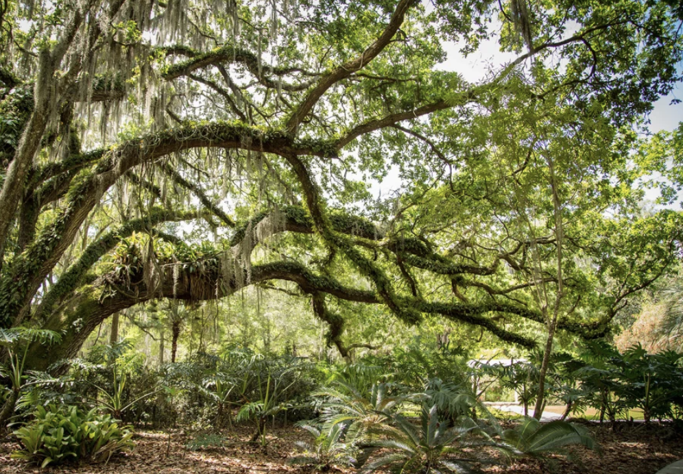 Screenshot 2026-02-24 at 9.27.24 PM.png