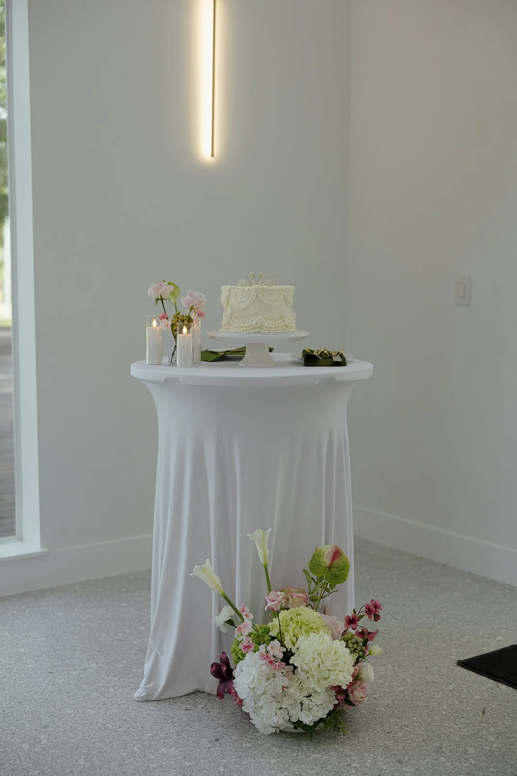 TBPhoto2026-31-2.jpg