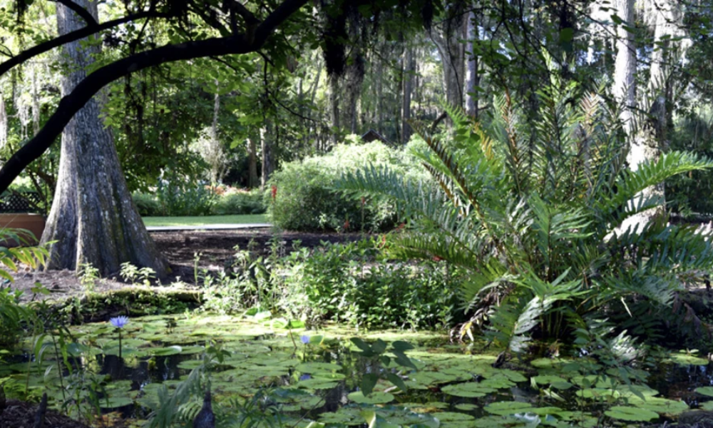 Screenshot 2026-02-24 at 9.28.00 PM.png