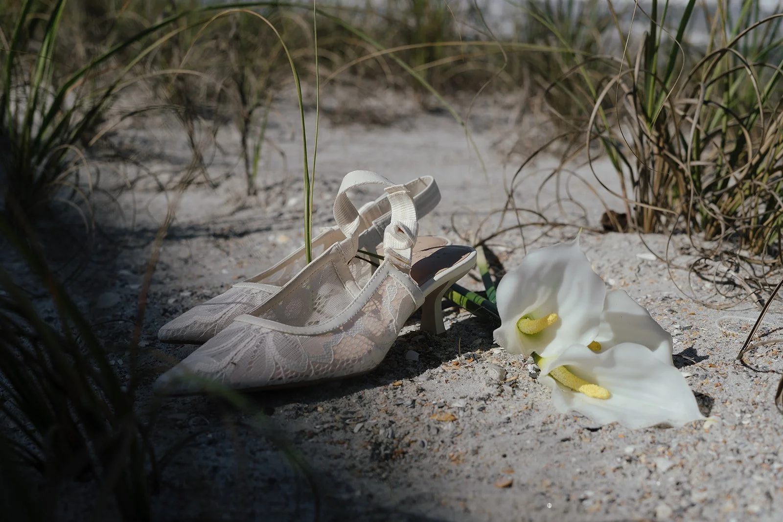 TBPhoto-Before-63.jpg