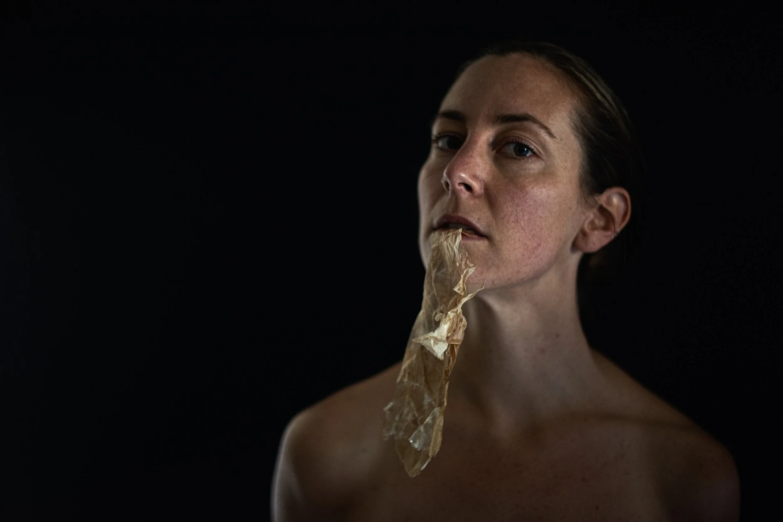 fragments of silent skin 