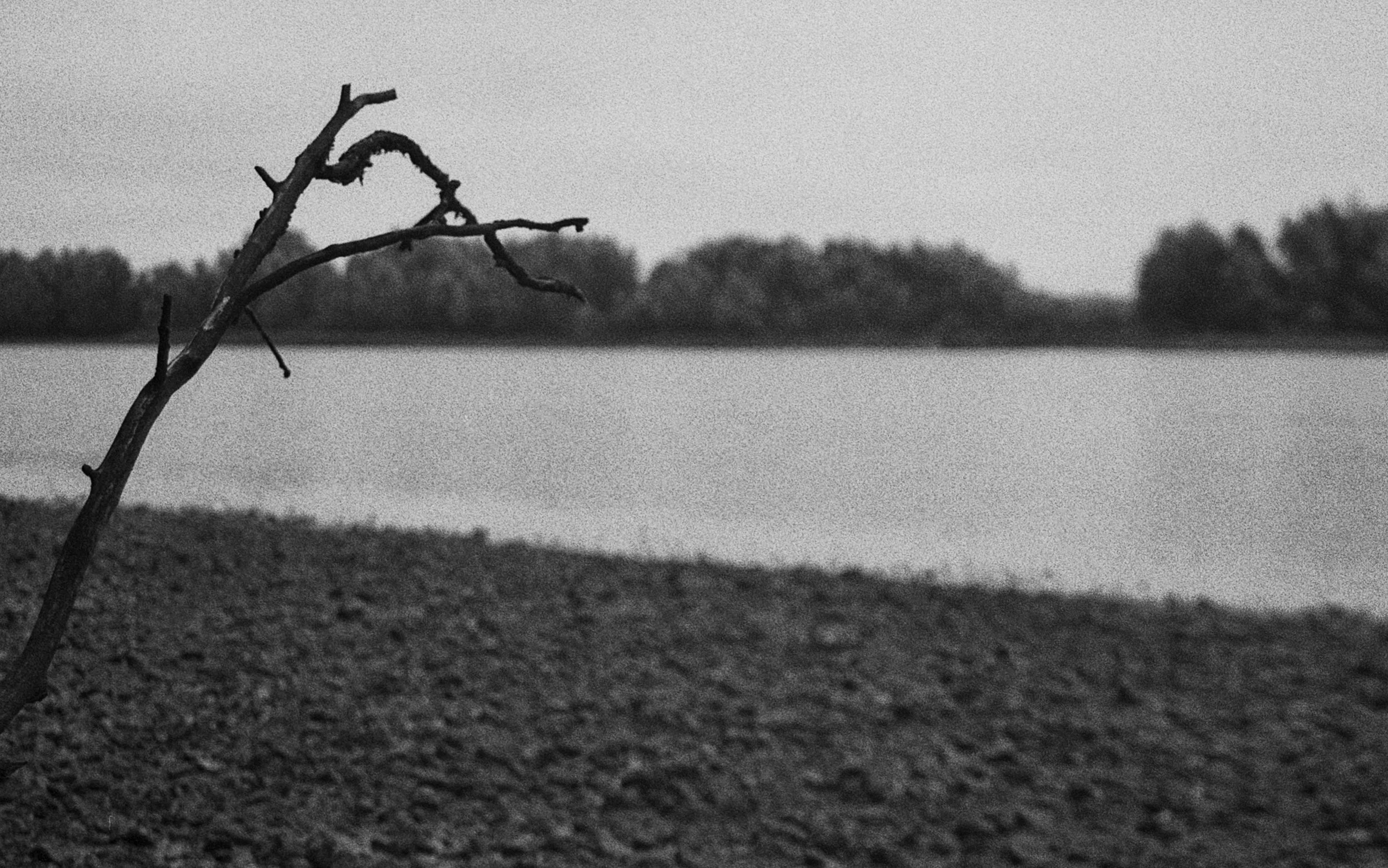 Loire #03