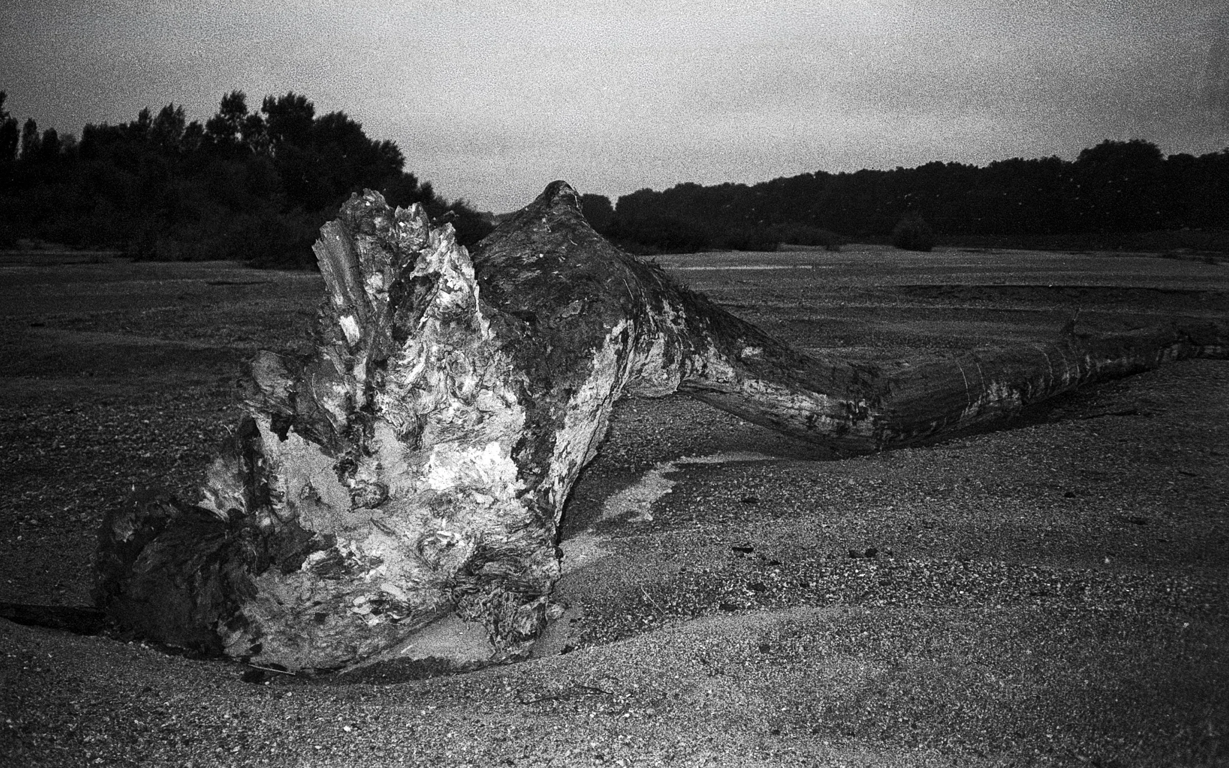 Loire #06