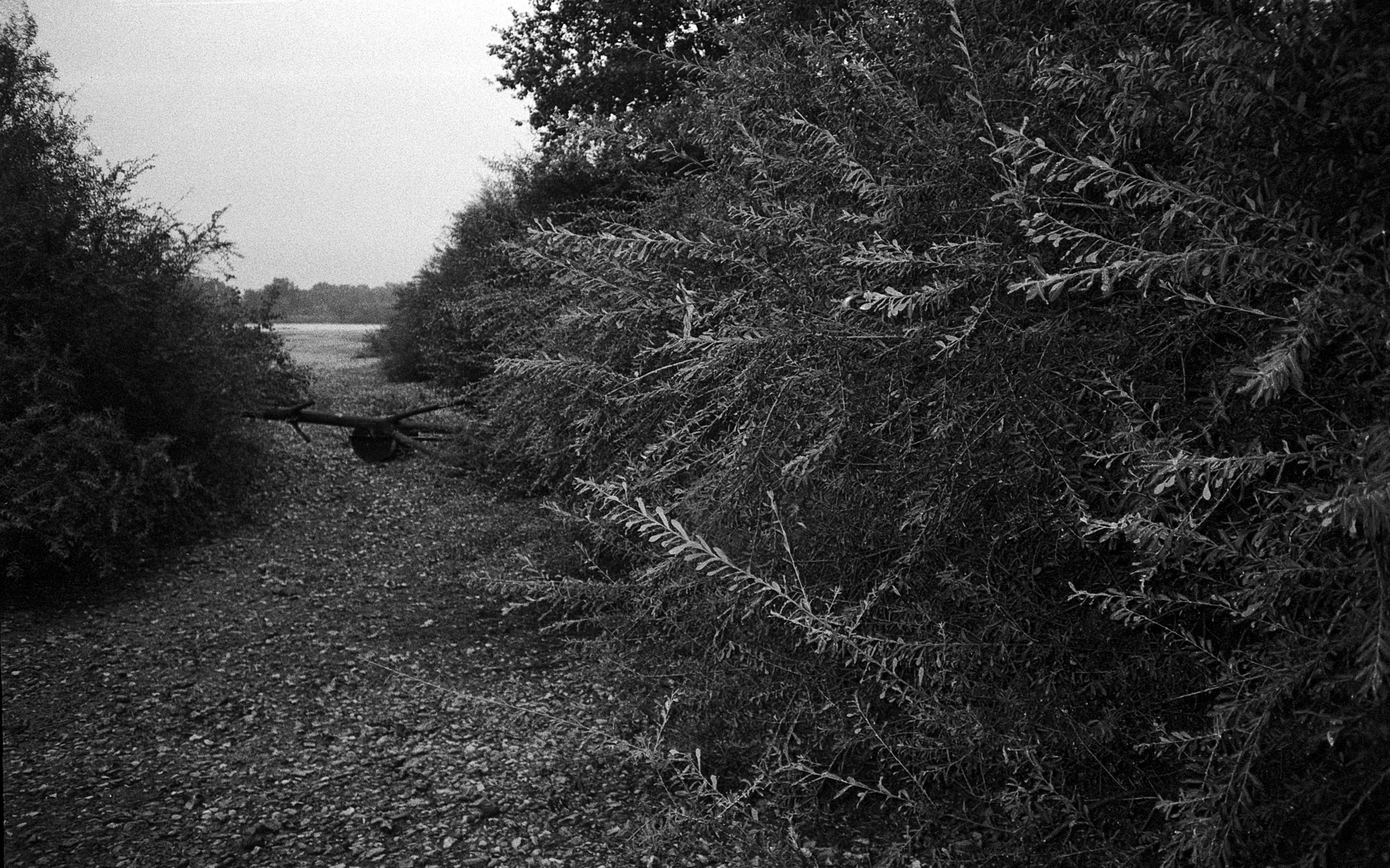Loire #09