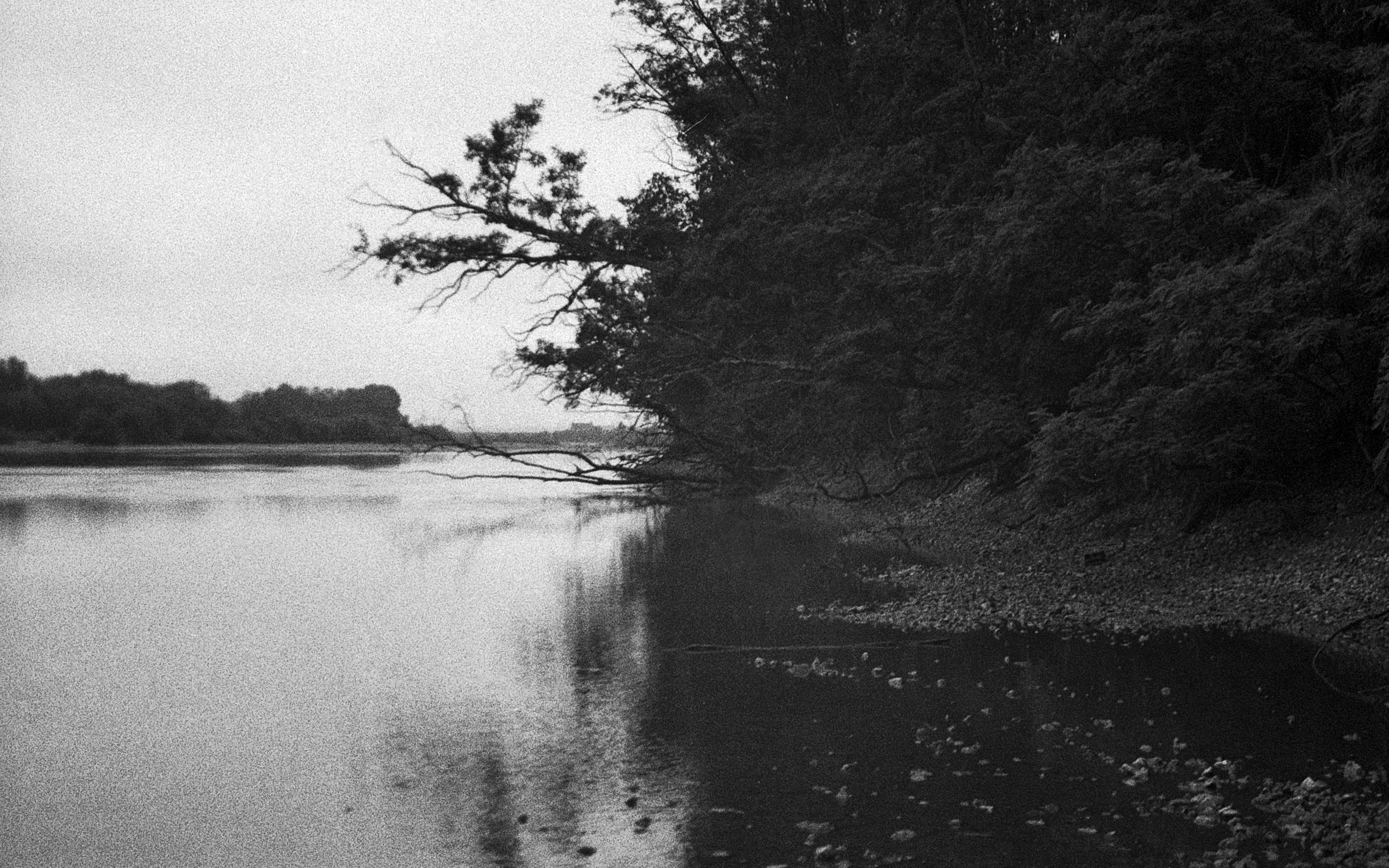 Loire #04