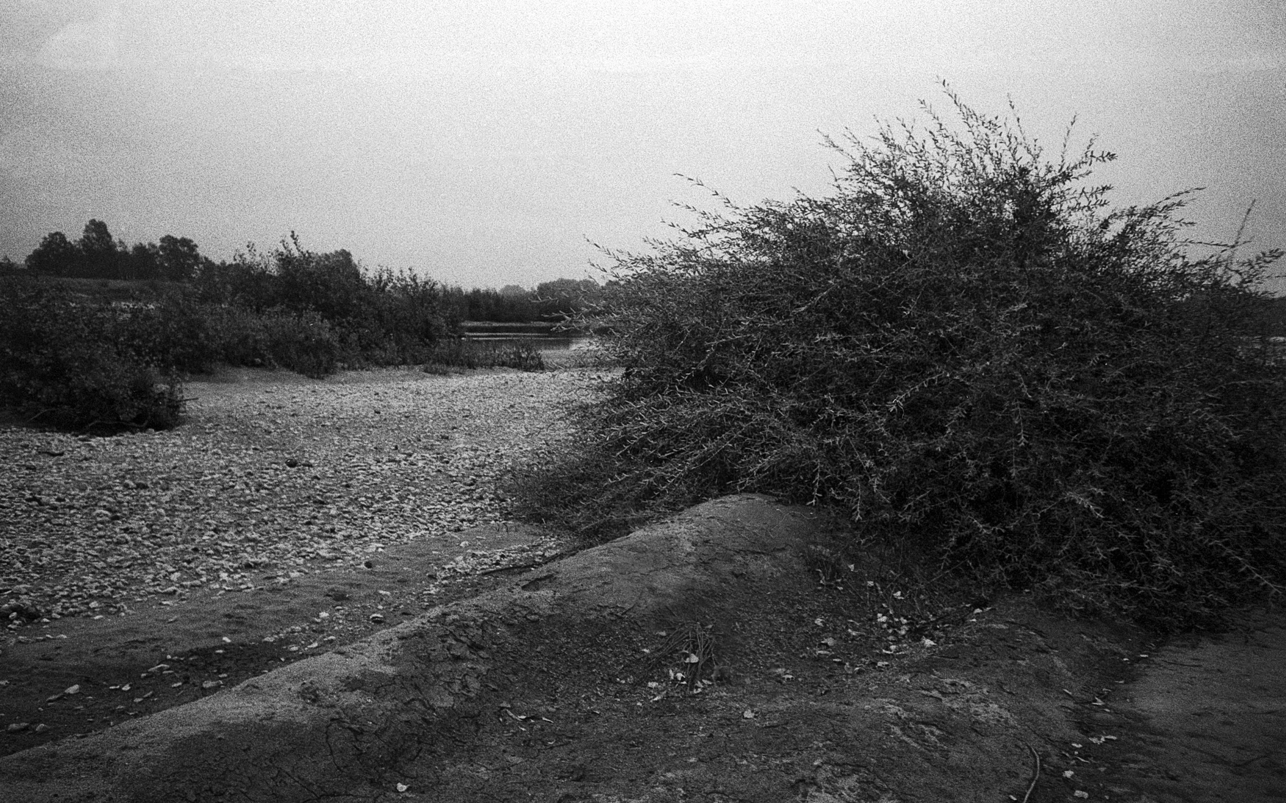 Loire #07