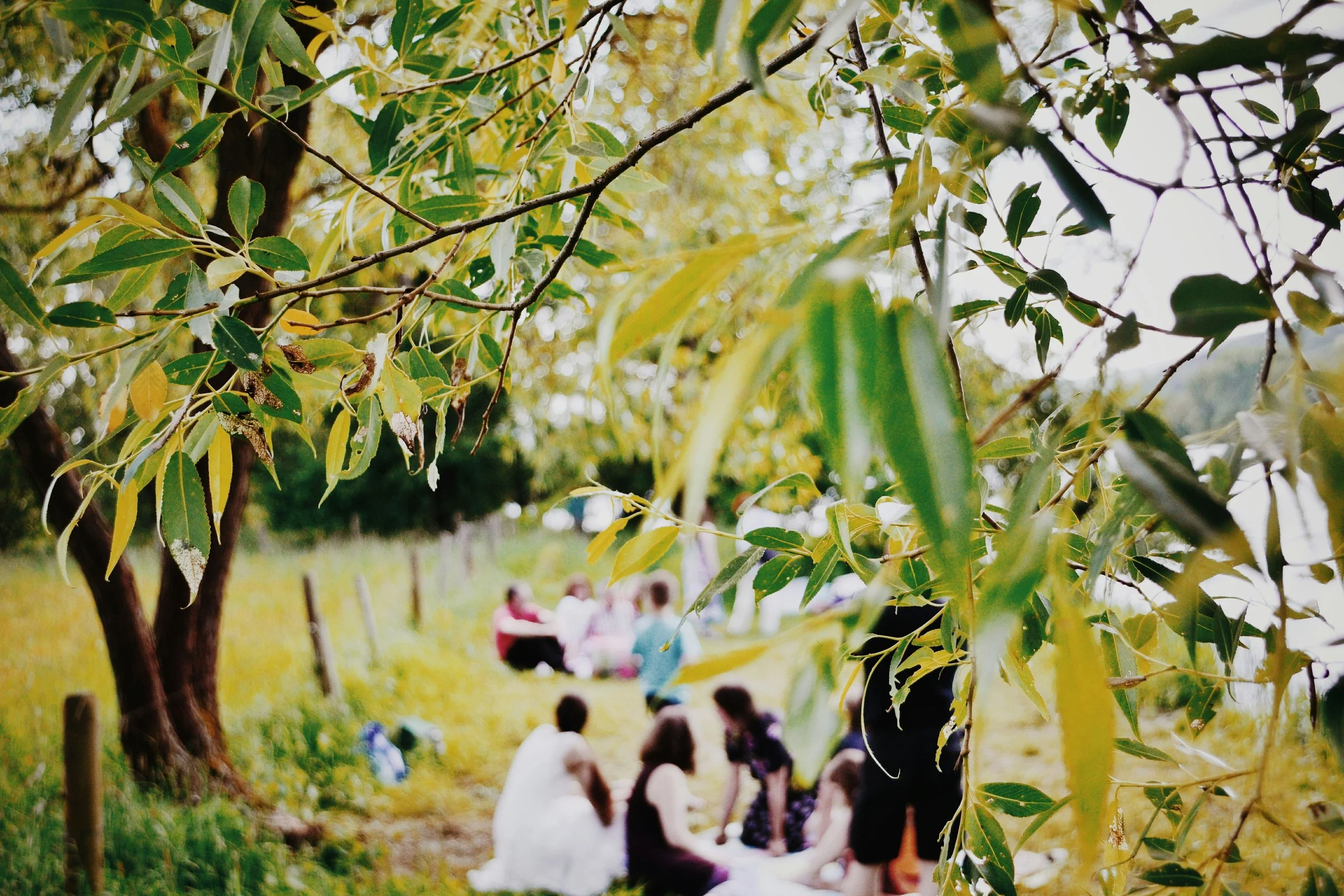 An Evening of Mindfulness: Picnic & Plum Village Song Night
