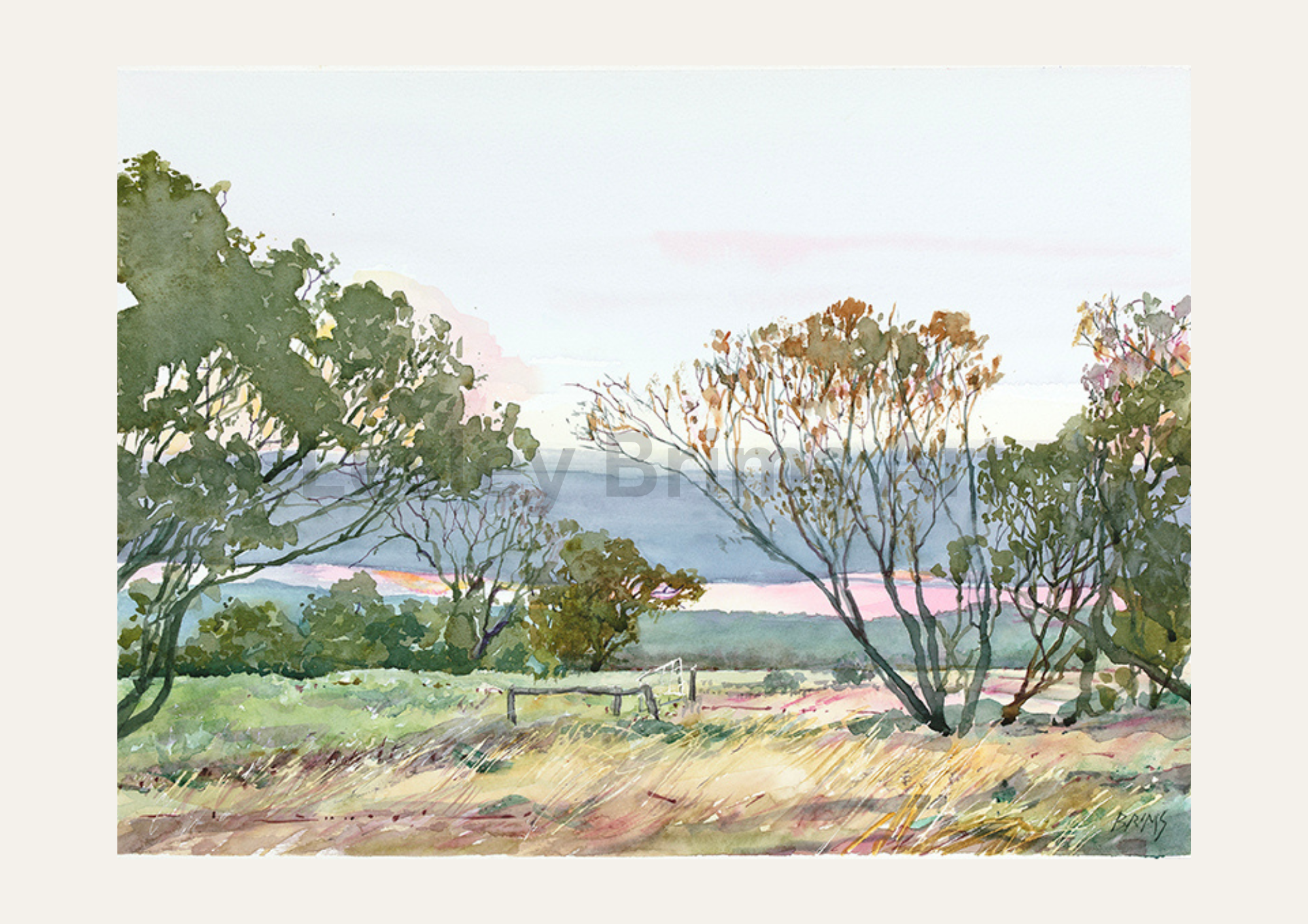 Copy of Lesley Brims Art.png