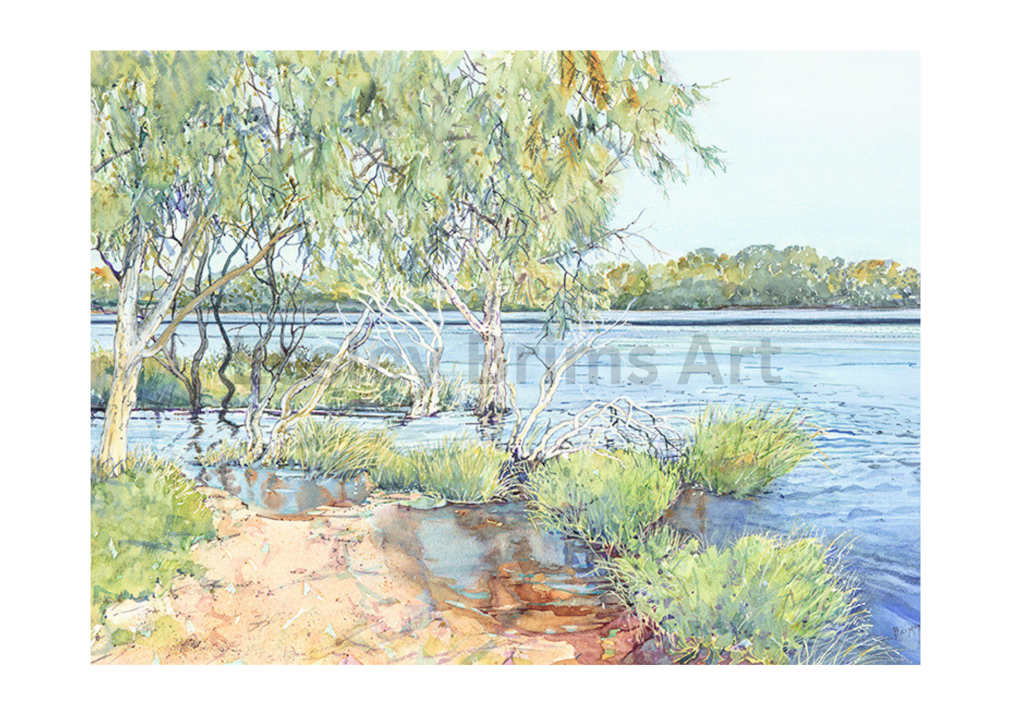 Bayswater High Tide.png