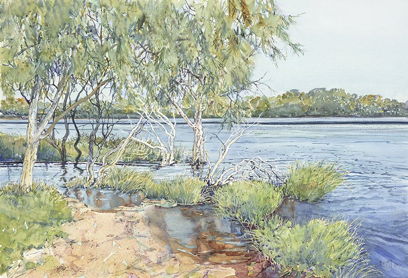 Bayswater High Tide Email_Web.jpg