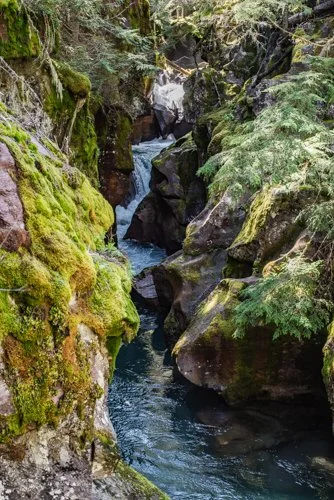Stream Glacier National Park