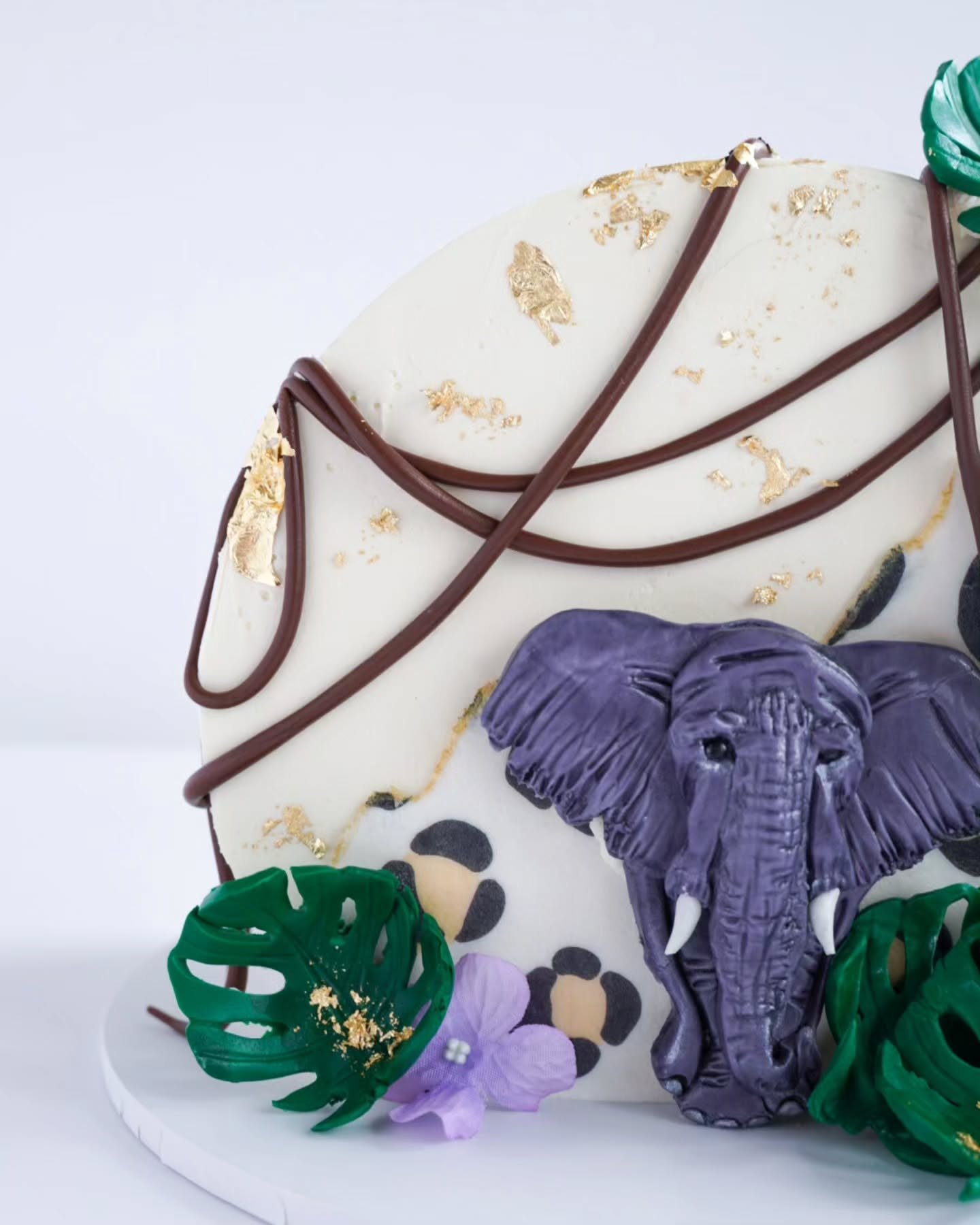 Jungle but a little bit different 😉

#junglecake #nzcake #elephantcake