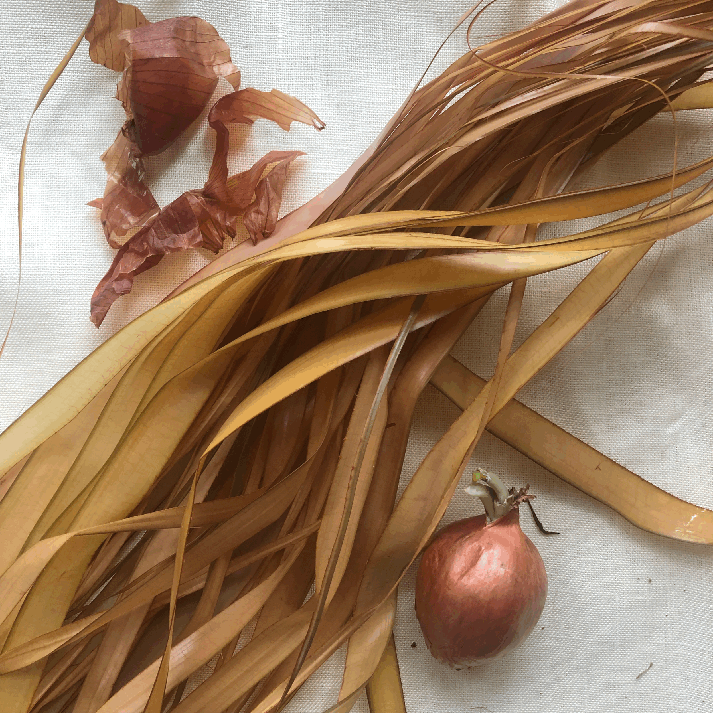 Natural Dyeing for Plant Fibre