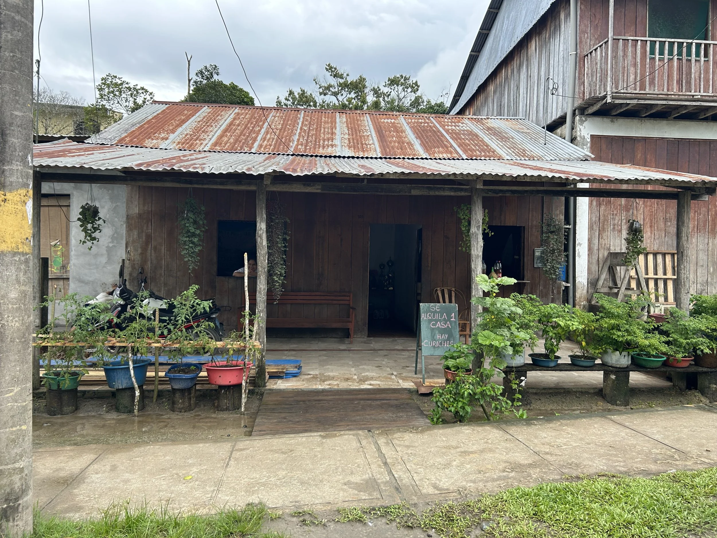 Amazonian village style
