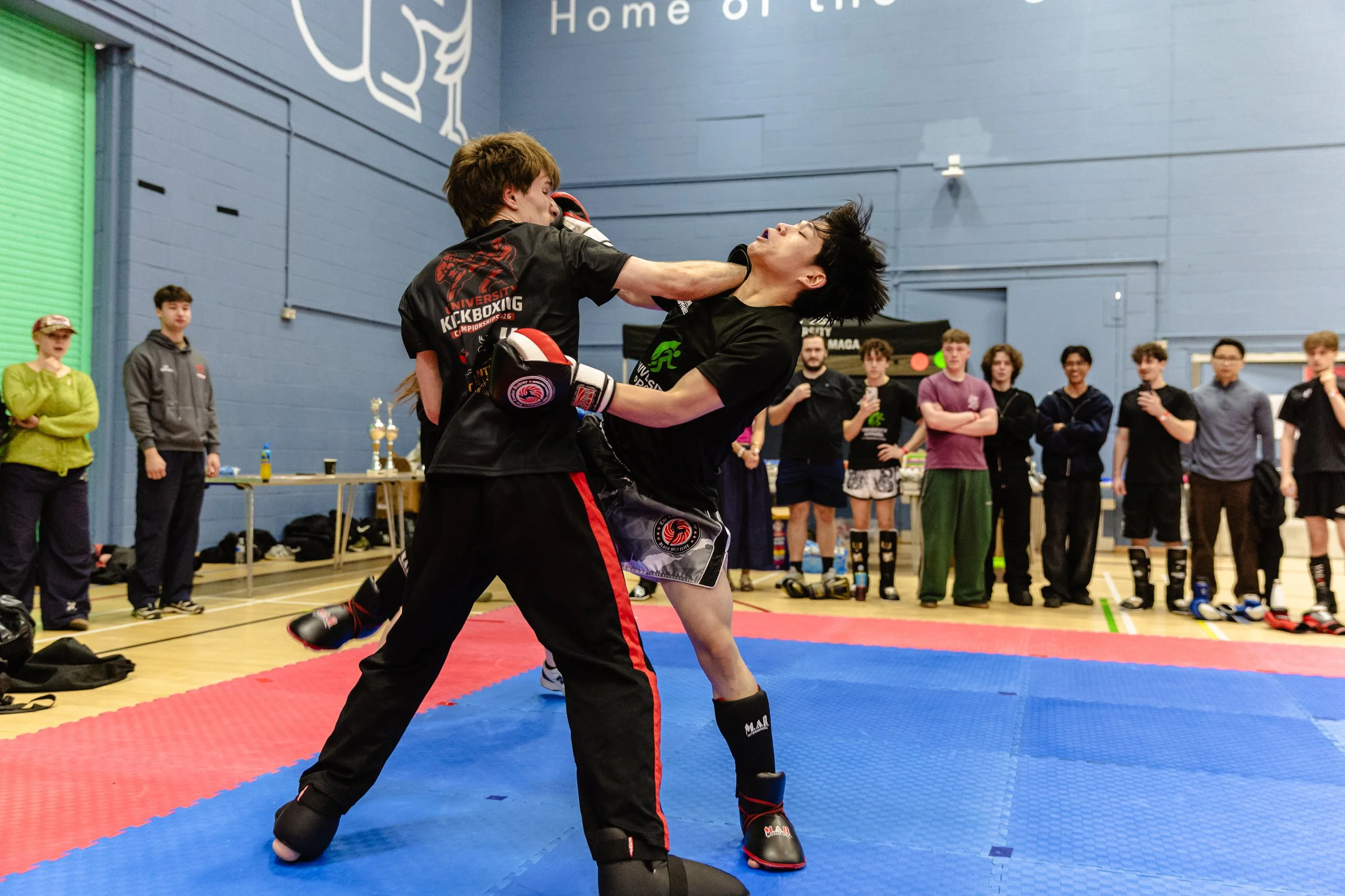 IMG_2026.03.21 - 021.jpg