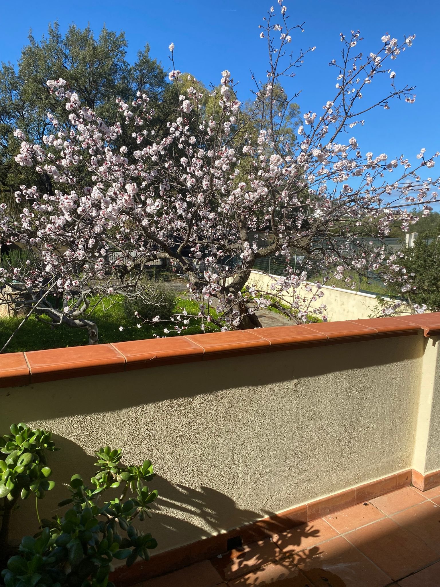 PHOTO-2026-03-13-15-02-56 2.jpg