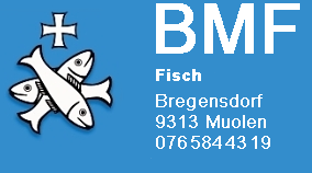 BMF-Fisch – Dein Partner für Zaunbau, Sichtschutzwände, Chromstahlhandlauf, Gartenholzerei und Brenn- und Cheminéeholz