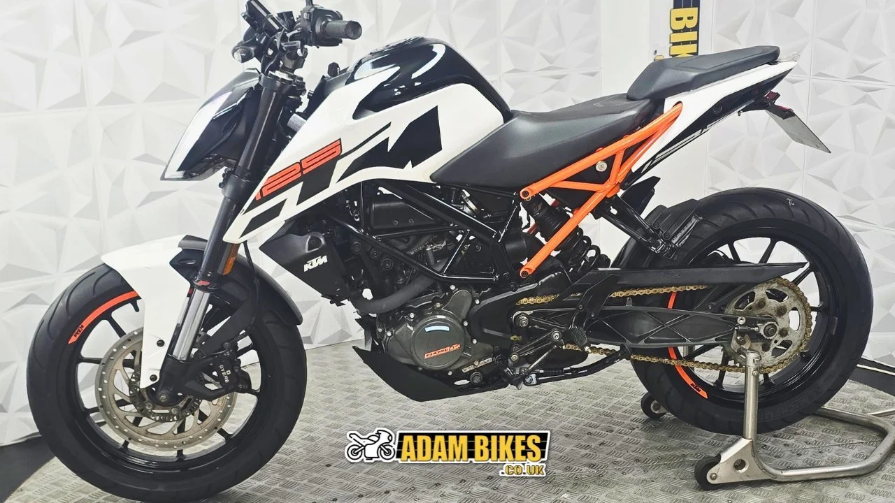 2.3m this way(20).jpg