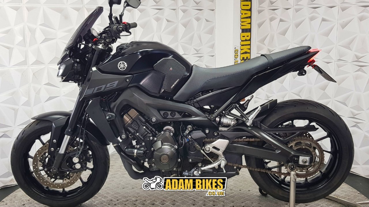 2.3m this way (29).jpg