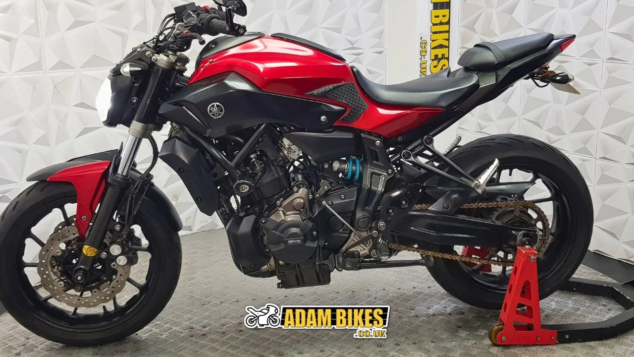 2.3m this way(102).jpg