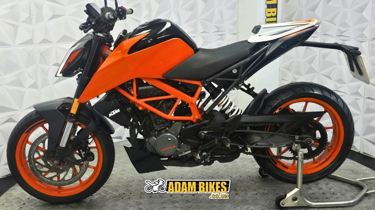 2.3m this way (2).jpg