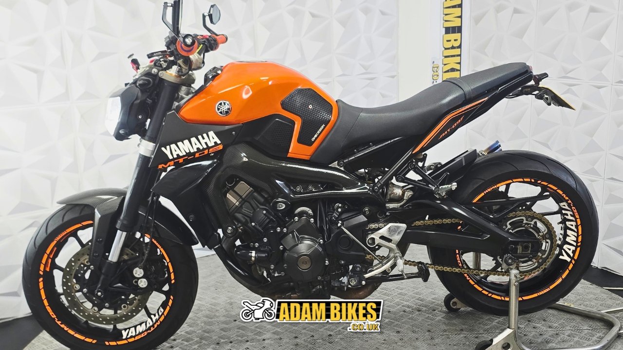 2.3m this way (19).jpg