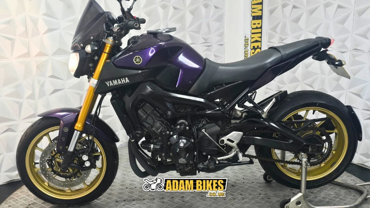 2.3m this way(32).jpg