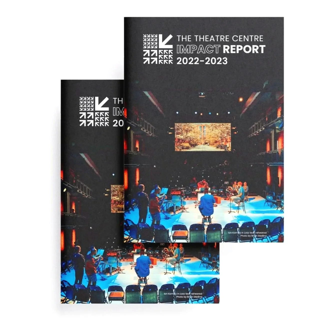  IMPACT REPORT   print design 