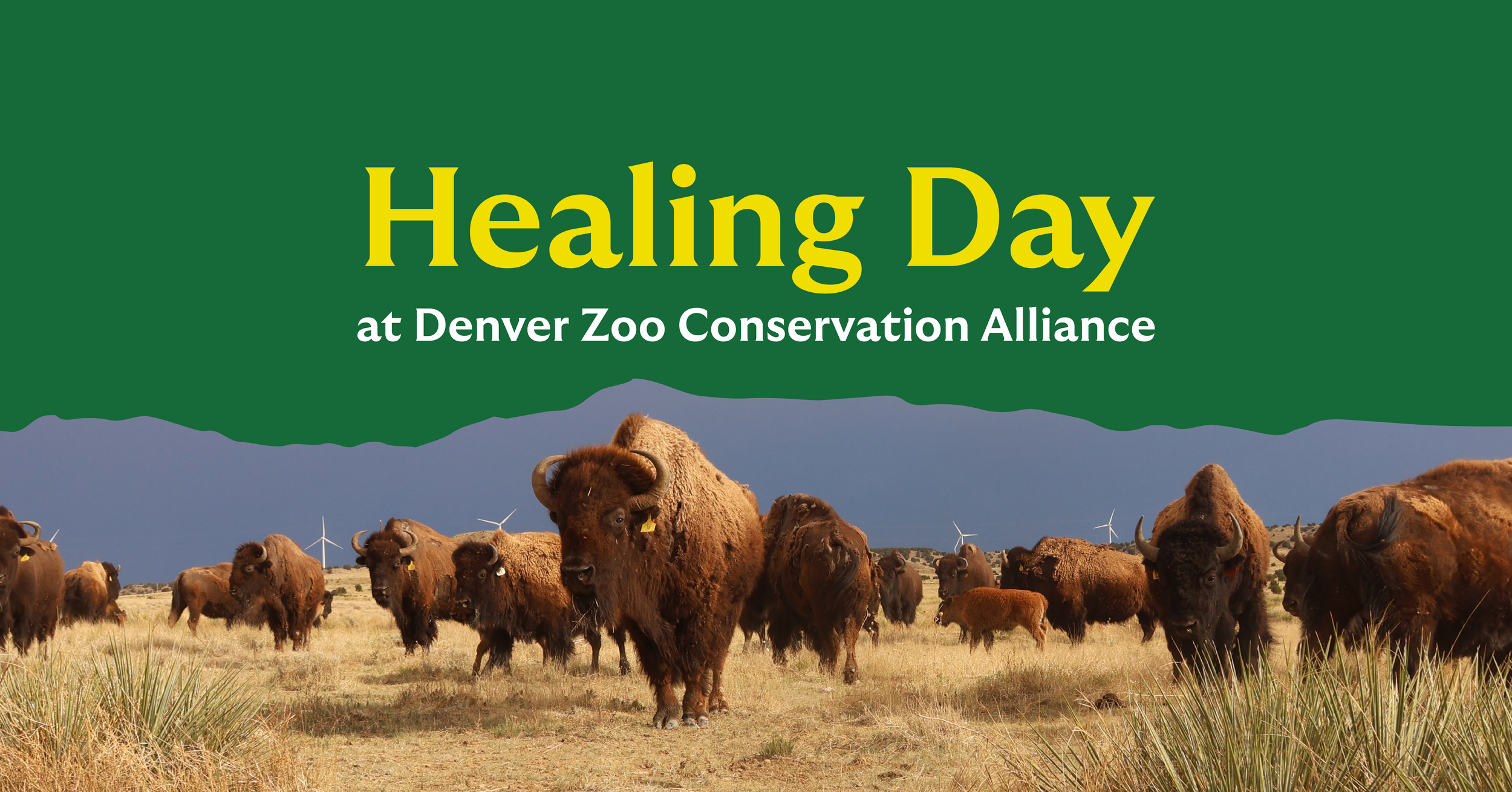 Healing Ceremony at the Zoo