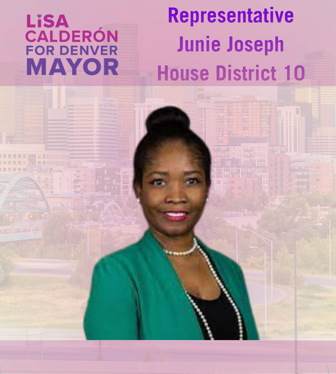 As a family law attorney and state legislator, I’ve seen what happens to families when housing instability, an unresponsive legal system, and inadequate public investment collide. Lisa understands that same urgency. Her platform on deeply affordable 