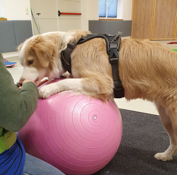 Screenshot 2025-10-24 203436.png