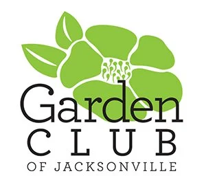 Horticulture Corner: Choosing and Growing Low-light Houseplants