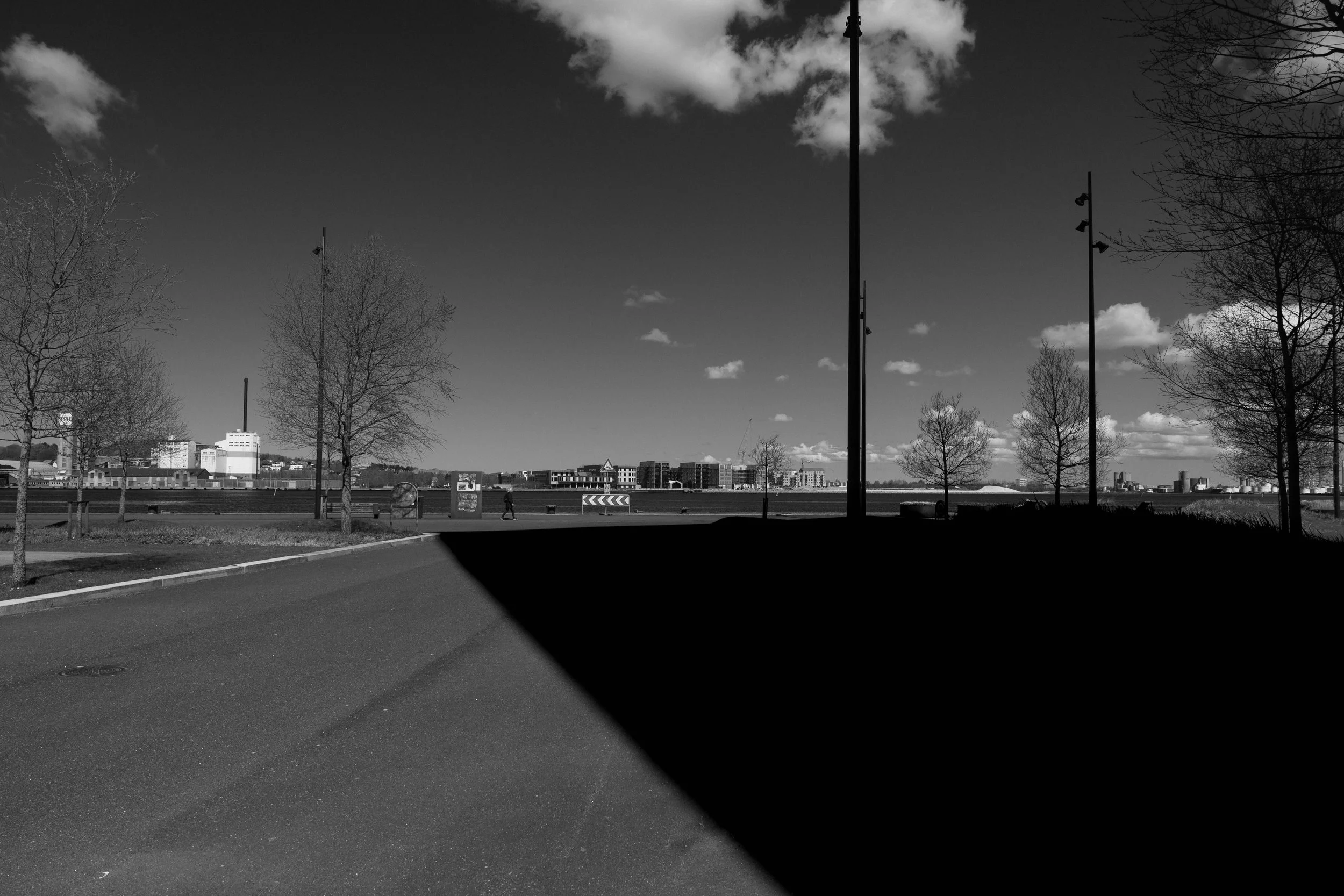 A black and white photo of an outdoor scene with a clear sky, scattered clouds, leafless trees, streetlights, and a distant cityscape beyond an open area.
