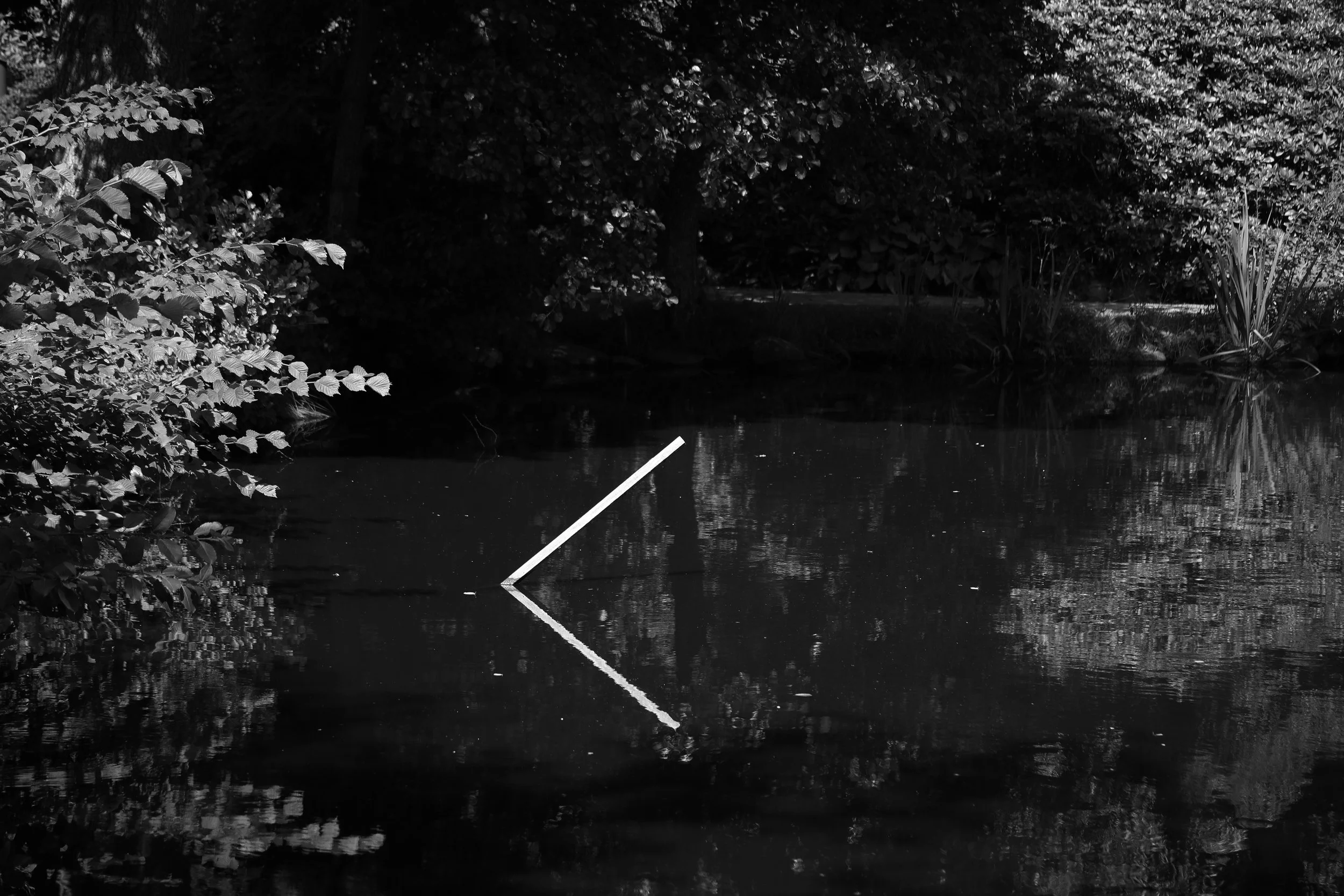 A black and white photo of a pond with a partially submerged white stick, with trees and bushes surrounding the pond.