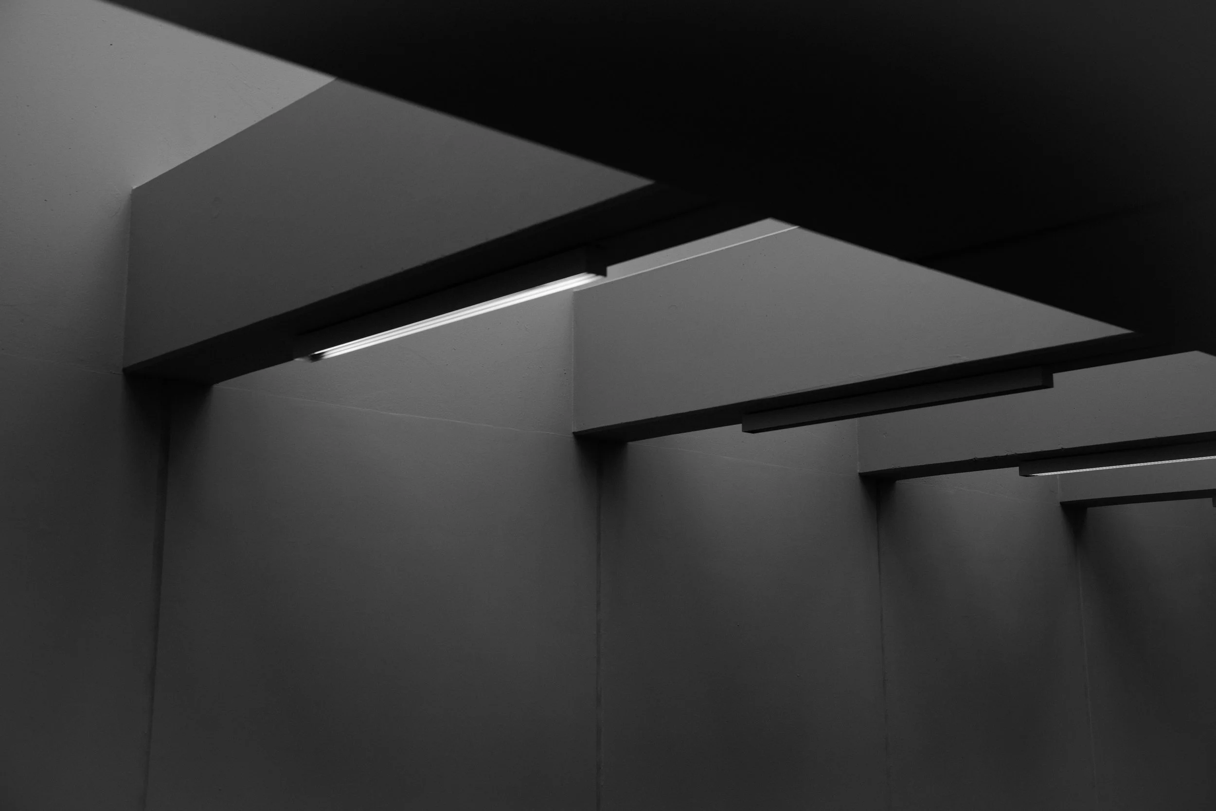 Minimalist black and white photograph of a ceiling with rectangular skylights letting in natural light.