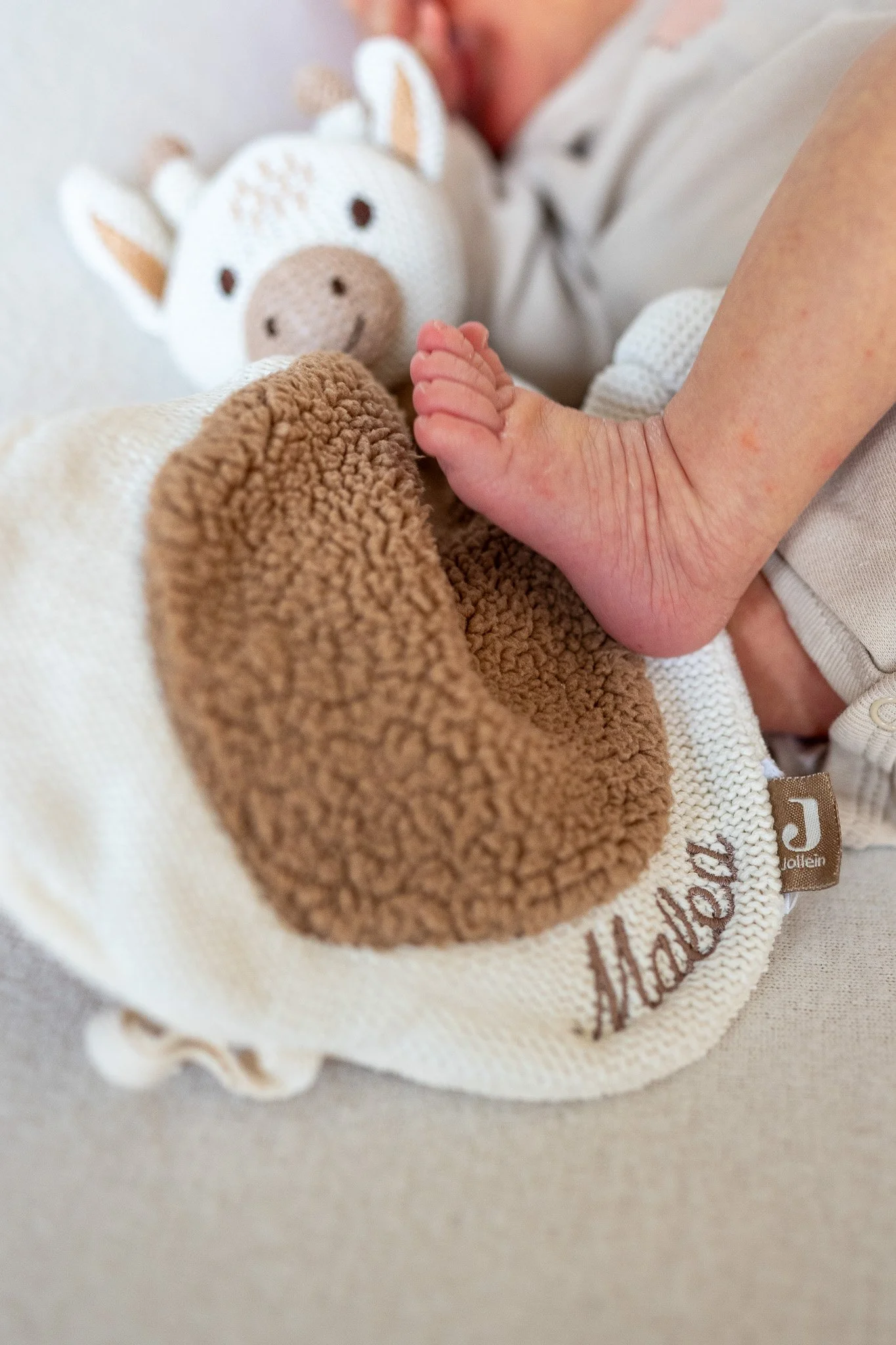 Newborn Fotografie Oldenburg