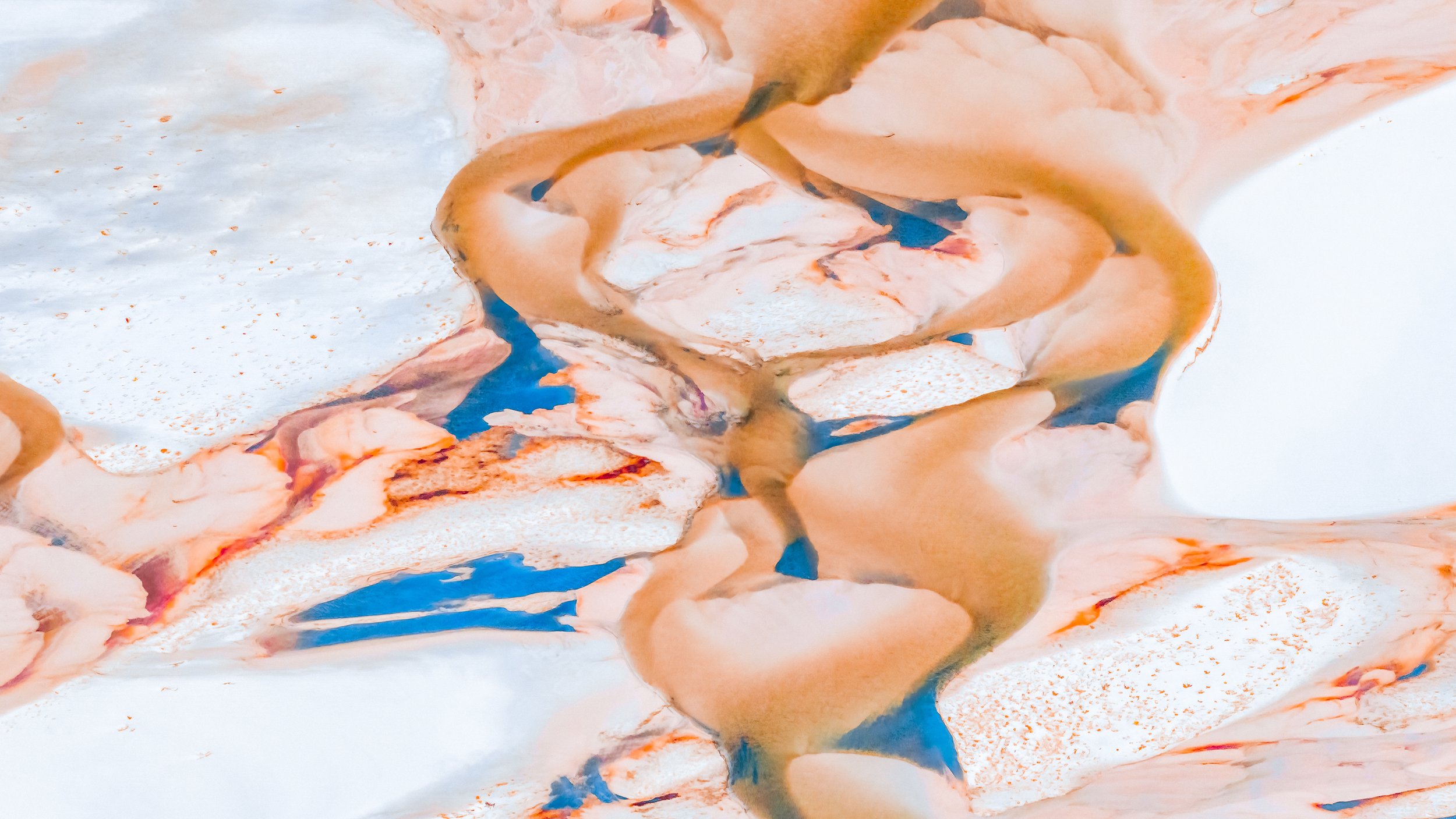 website prints-5.jpg