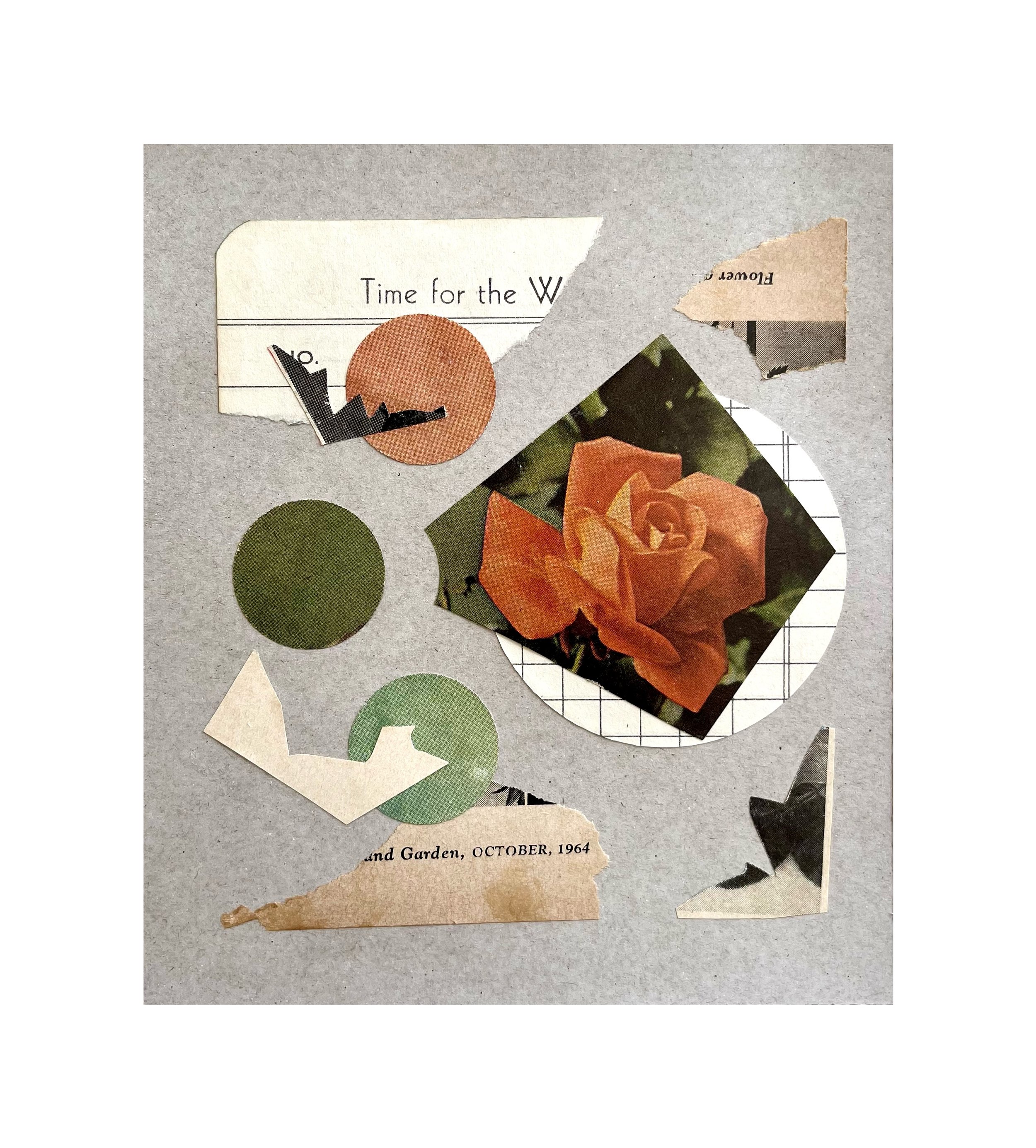RoseCollage.jpeg