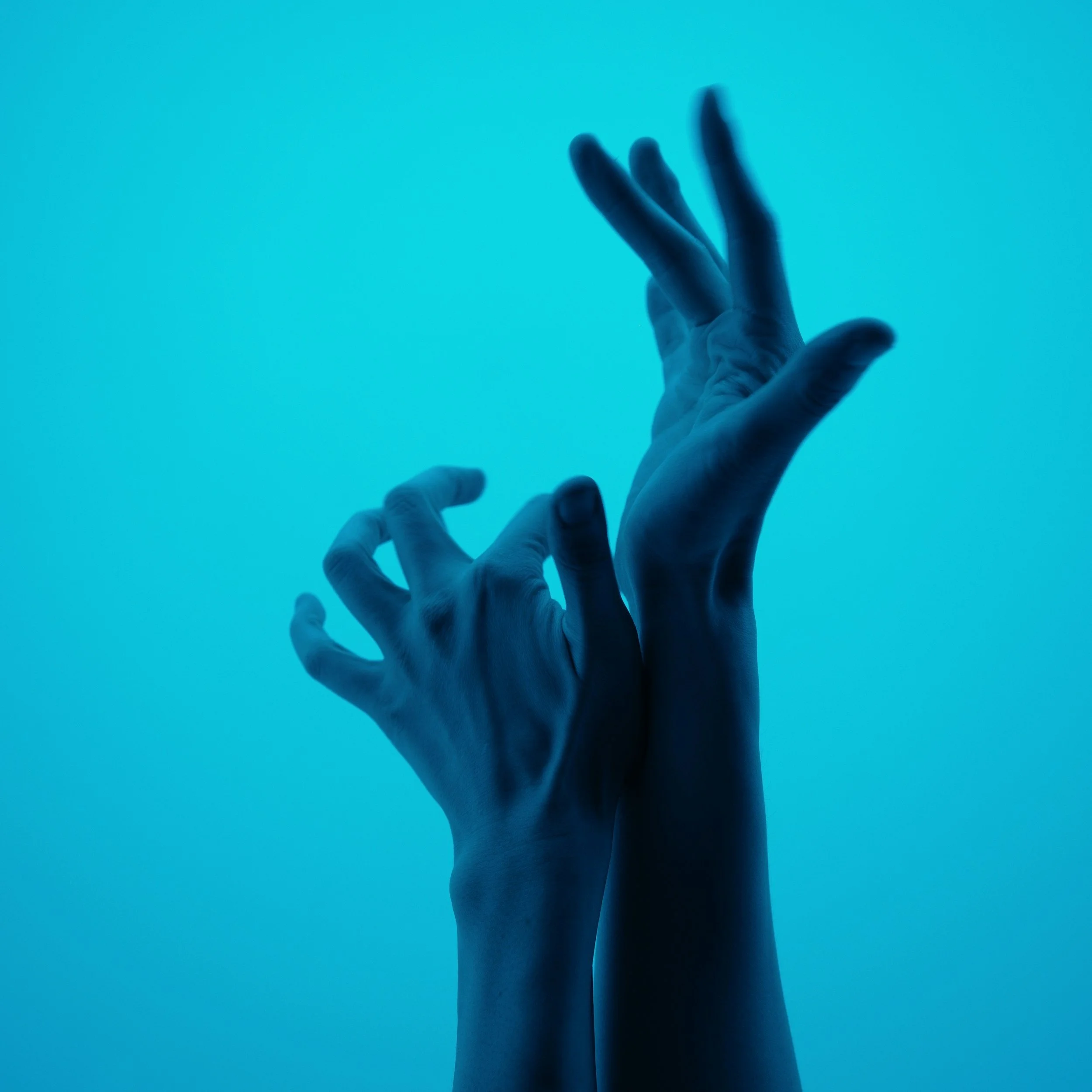 Back to Freedom: Movement and Meditation